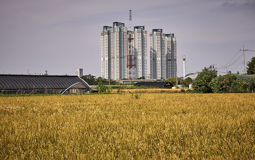汉城房地产疯长 城市灵魂与天际线的博弈